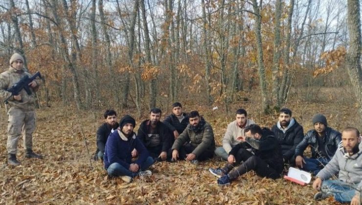 Edirne Jandarması, 1 haftada 262 kaçak göçmen yakaladı
