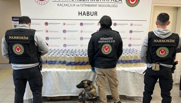 Habur Gümrük Kapısı’nda zehir operasyonu