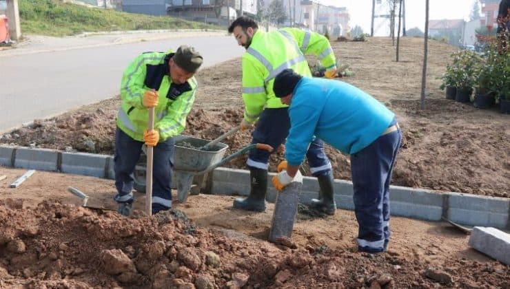 Büyükşehir, refüjleri ağaçlandırıyor