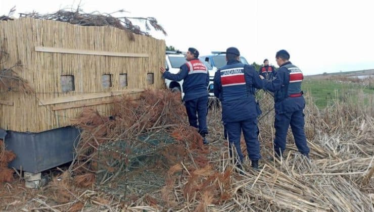 Edirne Jandarması’ndan yasak avcılık operasyonu!