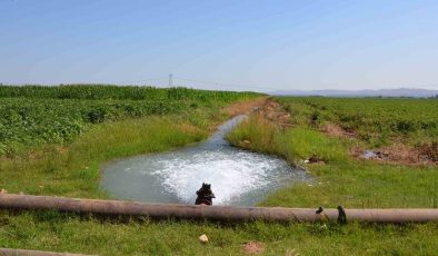 18 bin çiftçiyi ilgilendiriyor! Şanlıurfa ve Mardin’deki tarımsal sulama abonelerine son uyarı!