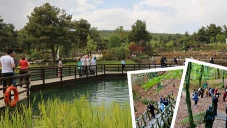 ‘Milli Park’lar ziyaretçilerini bekliyor